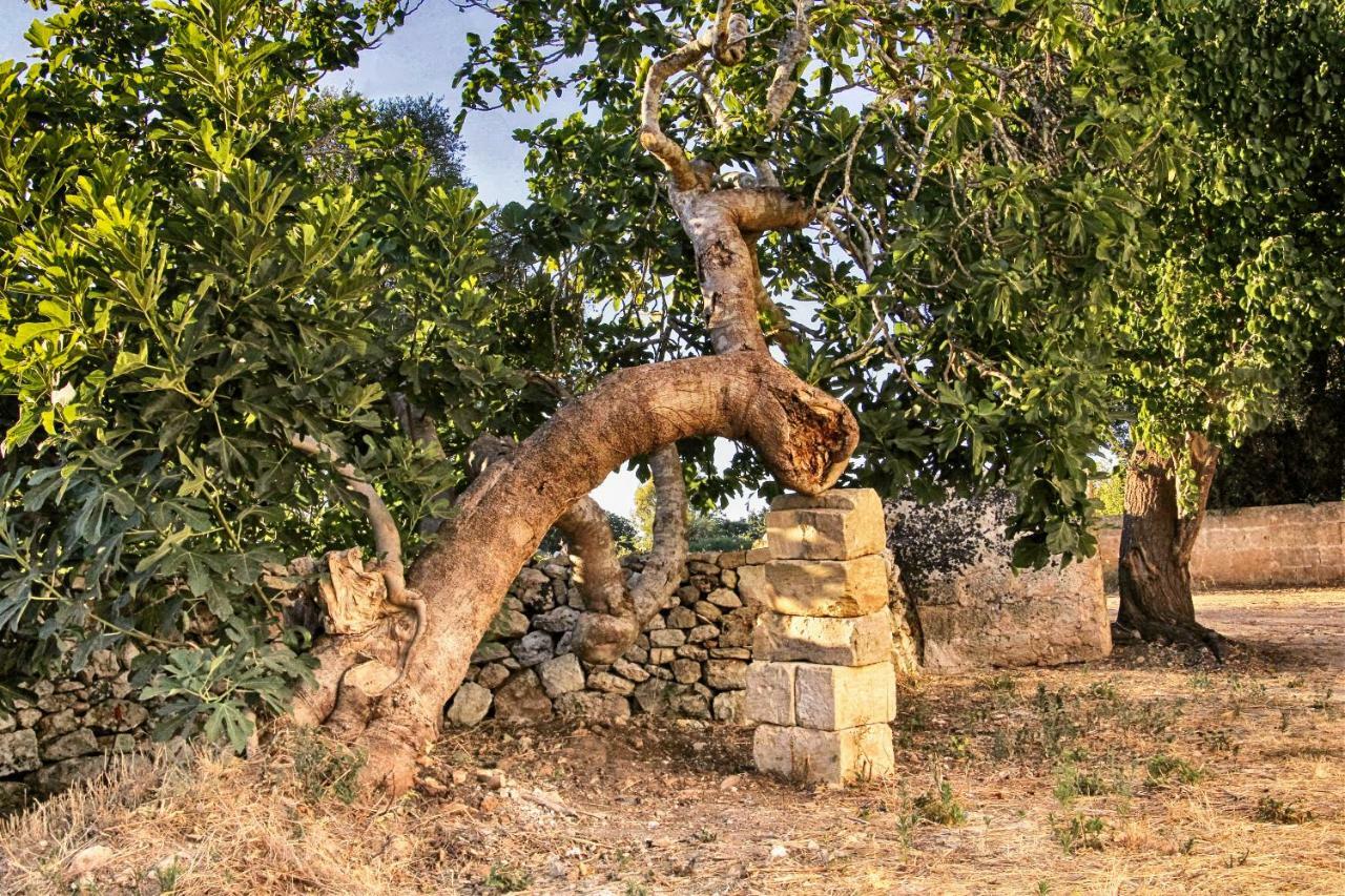 Masseria Costa Corigliano dʼOtranto Екстериор снимка